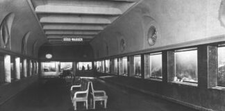 113 Jahre Aquarium Berlin – Haie, Quallen und kuriose Fakten Der Süßwasser-Bereich des Aquariums des Berliner Zoos wurde im Zweiten Weltkrieg zerstört. (Archivbild)