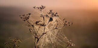 Kühleres Wochenende mit Regen und Gewittern Am Samstag ist mit zeitweiligen Schauern sowie mit einzelnen Gewittern zu rechnen, aber auch die Sonne soll sich zeigen. (Archivbild)