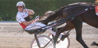 Fragolino Rosso gewinnt 131. Deutsches Traber Derby Robin Bakker fuhr seinen insgesamt siebten Derbysieg in Mariendorf ein. (Archivbild)