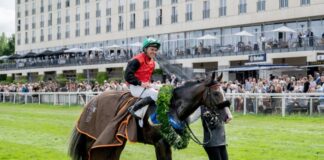 Derbysieger Dardanos Mitfavorit im Großen Preis von Berlin Derbysieger Dardanos startet erstmals wieder nach seinem Derbysieg vor Monatsfrist. (Archivbild)