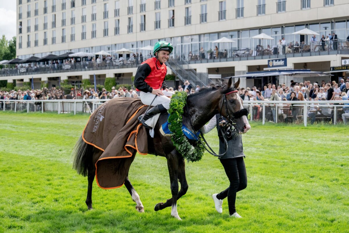 Jockey Wladimir Panov mit Derbysieger Dardanos Derbysieger Dardanos startet erstmals wieder nach seinem Derbysieg vor Monatsfrist. (Archivbild)