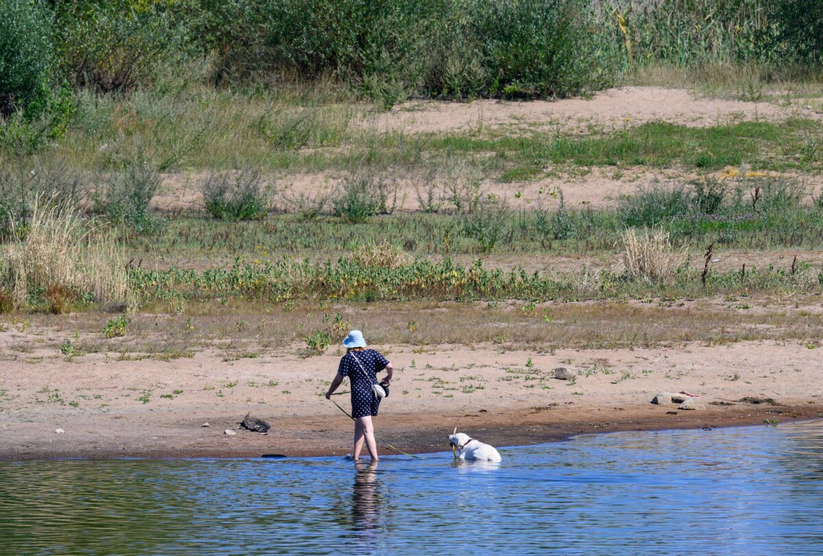 Niedrigwasser am Fluss Oder Der Oder fehlt reichlich Wasser - es zeigen sich Sandbänke, die teils Spaziergänger nutzen.