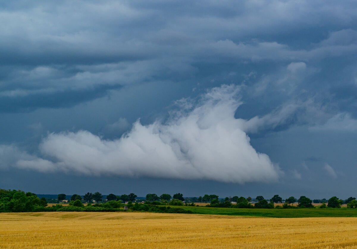 Wetter Berlin und Brandenburg Wer draußen unterwegs ist, sollte einen Regenschirm einpacken. Der DWD rechnet mit Schauern und Gewitter. (Archivbild)