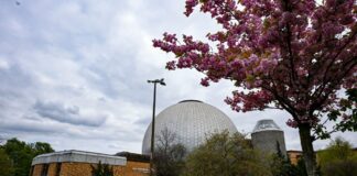Das Planetarium warb mit Brillen für die partielle Sonnenfinsternis. (Archivbild)