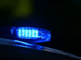 Berliner Polizei: Frauenleiche in Gebüsch entdeckt Nach dem Fund einer Frauenleiche in Berlin ermittelt die Mordkommission. (Symbolbild)