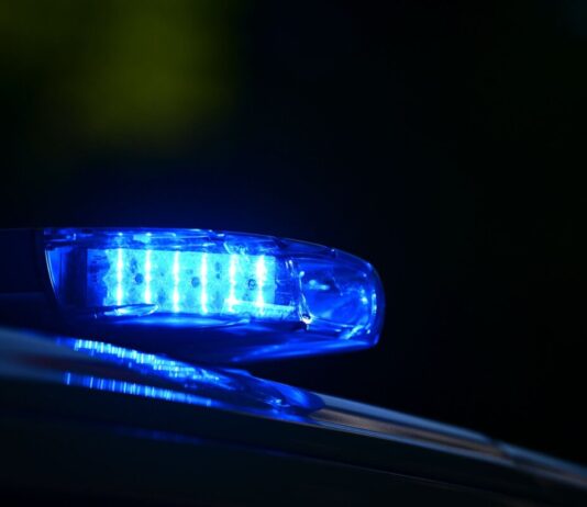 Berliner Polizei: Frauenleiche in Gebüsch entdeckt Nach dem Fund einer Frauenleiche in Berlin ermittelt die Mordkommission. (Symbolbild)