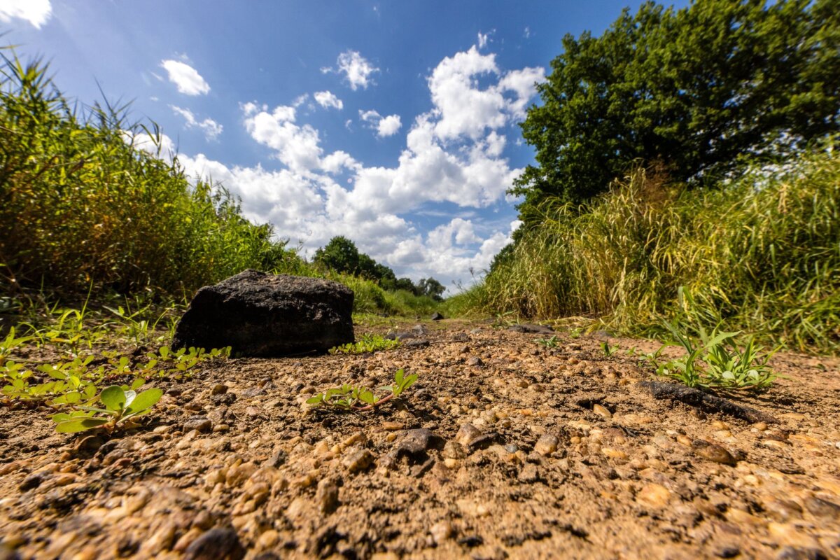 Wetter in Berlin und Brandenburg In den kommenden Tagen rechnet der DWD mit Sonne. Es bleibt trocken. (Symbolbild)