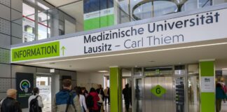 Unimedizin Lausitz: Im Oktober starten die Studenten Die Medizinische Universität Lausitz beginnt mit dem Studienbetrieb. (Archivbild)