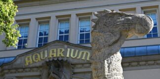 113 Jahre Aquarium Berlin – Haie, Quallen und kuriose Fakten Vor dem Aquarium des Berliner Zoos steht eine Nachbildung eines Dinosauriers aus der Kreidezeit.