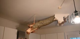 Unwetter-Datenbank: Schäden durch Tornado in Fürstenwalde Laut Polizei wurden keine Menschen verletzt.