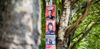 Heiße Phase des Wahlkampfs: Parteien hängen ihre Plakate auf In Berlin hängen Tausende Wahlplakate an Laternenmasten.