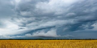 Unwetter und Wärmebelastung – wo es besonders heiß wird Schauern und gewittern soll es auch in den Nächten - die Tiefstwerte fallen auf 17 bis 21 Grad. (Archivbild)
