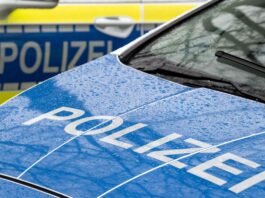 Vier Schafe von Weide in Nauen gestohlen Die Polizei leitete Ermittlungen ein. (Symbolbild)