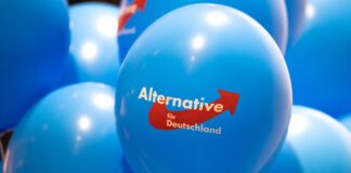 Brandenburgs Regierung verbietet AfD-Werbung an Schulen Die AfD Brandenburg darf an Schulen keine Werbemittel verbreiten. (Archivbild)
