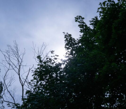 Sonnige Tage für Berlin und Brandenburg Das Wetter bleibt in Berlin und Brandenburg überwiegend sonnig. (Symbolbild)