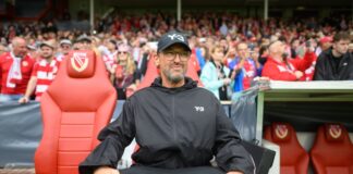 Wollitz warnt weiter trotz Cottbuser Leidenschaft Cottbus-Trainer Wollitz sieht noch viel Arbeit auf sich zukommen.