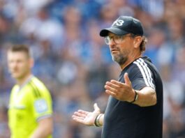 Nach Engelhardt-Schock: Erste Niederlage für Cottbus Wollitz und sein Team mussten die erste Niederlage hinnehmen.