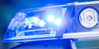 Mann nach Verfolgung festgenommen – zwei Polizisten verletzt Die Polizei verfolgte den 24-Jährigen bereits in Brandenburg. (Symbolbild)