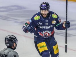 Eisbären Berlin gewinnen Test gegen Lausitzer Füchse mit 3:1 Angreifer Yannick Veilleux erzielte den ersten Treffer der Eisbären Berlin im Testspiel gegen die Lausitzer Füchse.