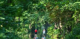 Was gilt beim SUP-Fahren auf Brandenburgs Gewässern? Wie hier im Spreewald ist das Stand-up-Paddling überall in Brandenburg beliebt. (Archivbild)
