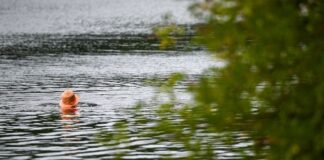 Alle Berliner Badestellen «zum Baden geeignet» Alle offiziellen Berliner Badestellen sind zum Baden geeignet. (Archivbild)