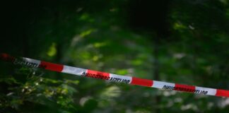 Verdacht auf Anschlagspläne nach Waffenfund in Berlin Die Waffen wurden in der Nähe von Berlin gefunden. (Archivbild)