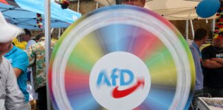 Umfrage: Jeder Zweite hat keine Angst vor der AfD Die AfD könnte in Sachsen-Anhalt erstmals in Regierungsverantwortung kommen. (Archivbild)