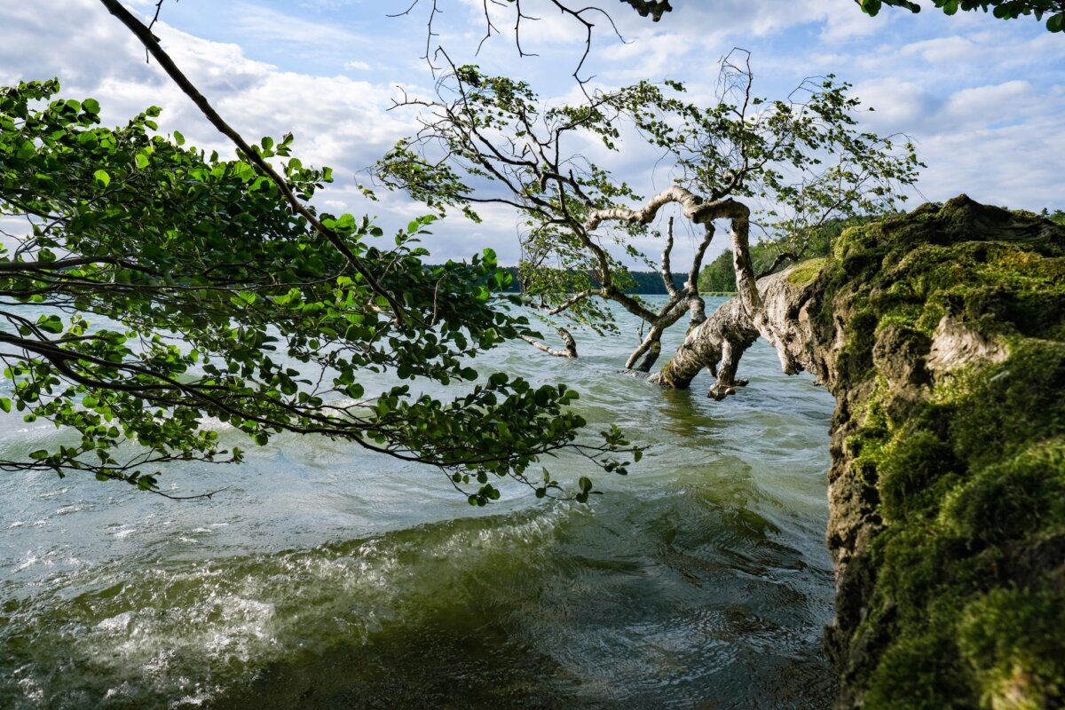 Stechlinsee im Naturpark Stechlin-Ruppiner Land Der Stechlinsee ist ein beliebtes Ausflugsziel. (Archivbild)