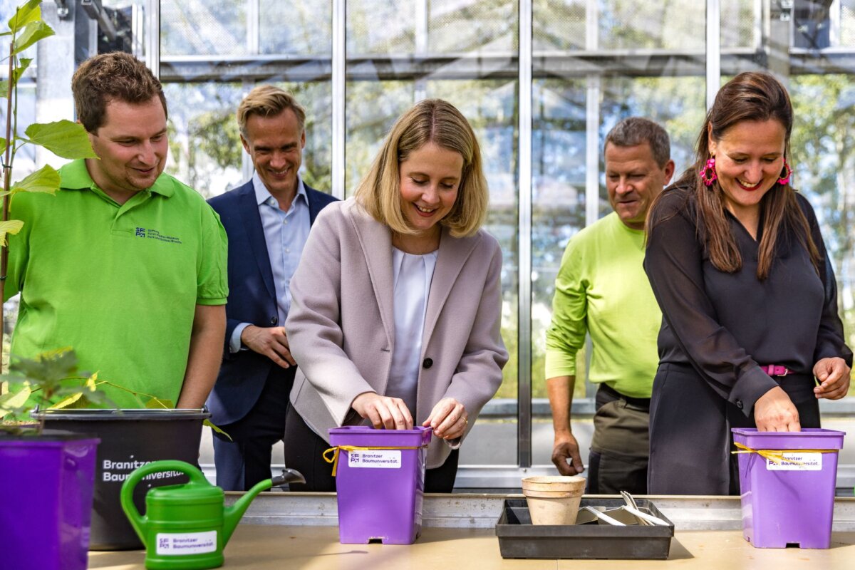 Modellprojekt für historische Gärten im Klimawandel Die Ministerinnen haben Eicheln gepflanzt.