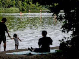 Fast überall grünes Licht fürs Baden an diesem Wochenende Im Sommer wird die Wasserqualität in regelmäßigen Abständen überprüft. (Symbolbild)