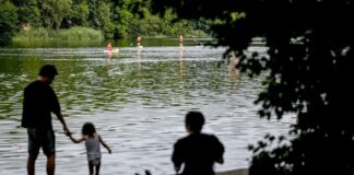 Fast überall grünes Licht fürs Baden an diesem Wochenende Im Sommer wird die Wasserqualität in regelmäßigen Abständen überprüft. (Symbolbild)