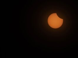 Wo kann ich die Sonnenfinsternis beobachten? Etwas erhöht, freie Sicht - zur Beobachtung der partiellen Sonnenfinsternis heute Abend muss der Blick nach West-Nordwest frei sein. (Archivbild)