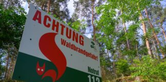 Mittlere Waldbrand-Warnstufe in fast allen Landkreisen Die Waldbrandgefahr hat sich in Brandenburg im bisherigen Wochenverlauf leicht erhöht. (Archivbild)