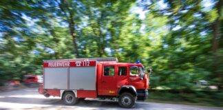 Experte: Müssen Waldbrandschutz an Wohngebieten stärken Wie gefährlich können Waldbrände für Wohngebiete werden? (Symbolbild)