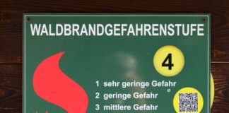 Waldbrandgefahr in Brandenburg steigt Die Waldbrandgefahr stieg in den vergangenen Tagen wieder deutlich an. (Archivbild)