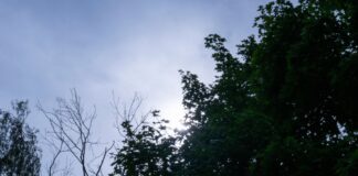 Neue Woche mit sonnigen Aussichten Die Wolken werden in Berlin und Brandenburg in den kommenden Tagen weniger. (Archivbild)