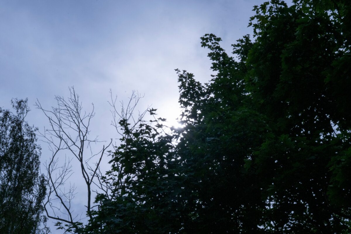 Wetter in Berlin Die Wolken werden in Berlin und Brandenburg in den kommenden Tagen weniger. (Archivbild)