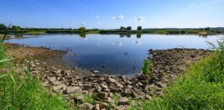 Temperaturen steigen in Berlin und Brandenburg wieder Die Trockenheit der vergangenen Tage hat vielerorts zu Niedrigwasser geführt. (Archivbild)