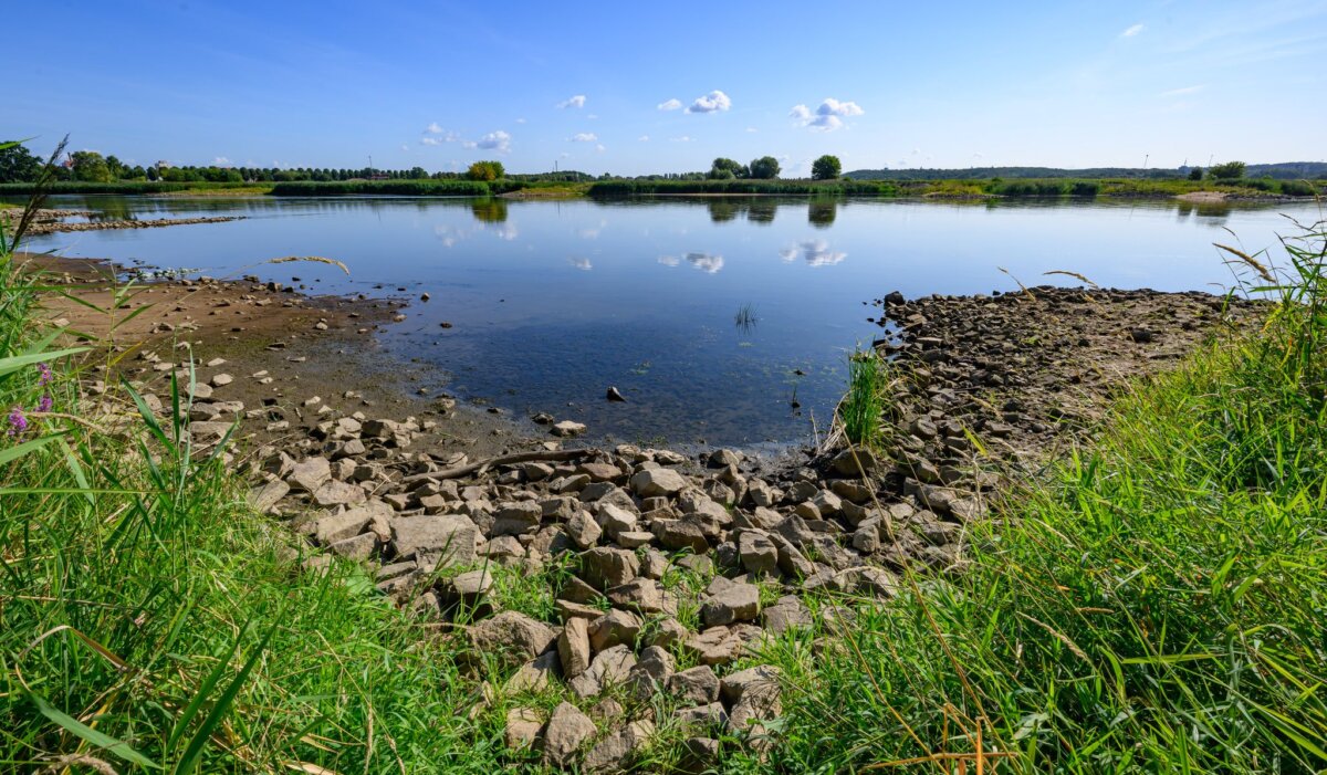 Niedrigwasser am Fluss Oder Die Trockenheit der vergangenen Tage hat vielerorts zu Niedrigwasser geführt. (Archivbild)