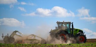 Brandenburgs Bauern sollen ab 2028 mehr fürs Wasser zahlen Einige Landwirtschaftsbetriebe in Brandenburg haben einen hohen Wasserbedarf. (Archivbild)
