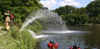 Polen kämpft gegen Ausbreitung der giftigen Goldalge Im Gleiwitzer Kanal in Polen wurden erneut viele tote Fische gefunden. (Archivbild)