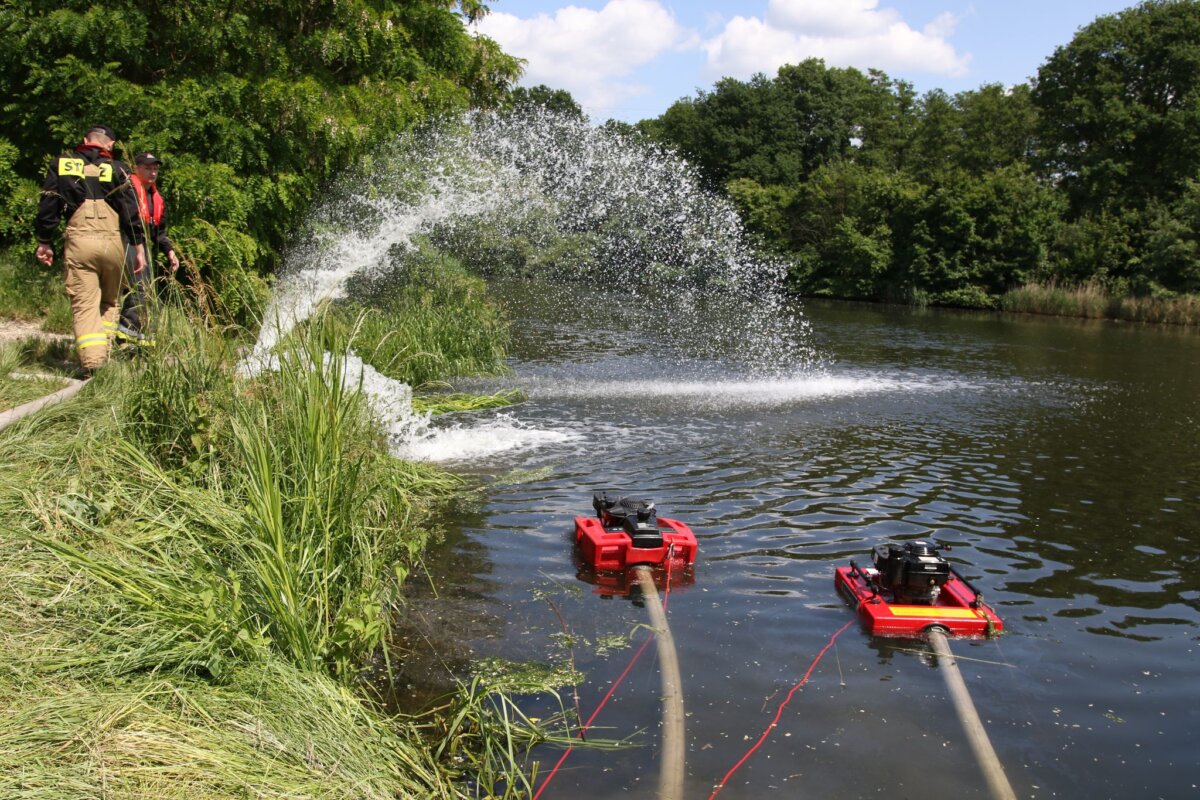Fischsterben im Gleiwitzer Kanal in Polen Im Gleiwitzer Kanal in Polen wurden erneut viele tote Fische gefunden. (Archivbild)