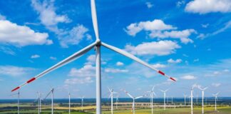Stromerzeugung aus Wind hat in Brandenburg stark zugelegt Die Stromerzeugung aus Wind hat in Brandenburg in den vergangenen zehn Jahren deutlich zugelegt.