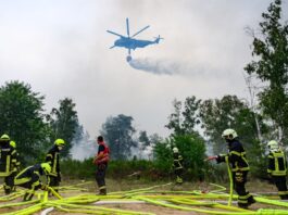 Experte: Kontrolliertes Brennen statt mehr Technik nötig Auch in diesem Jahr hat die munitionsbelastete Gohrischheide im Grenzgebiet zwischen Sachsen und Brandenburg gebrannt. (Archivbild)