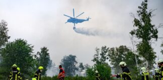 Experte: Kontrolliertes Brennen statt mehr Technik nötig Auch in diesem Jahr hat die munitionsbelastete Gohrischheide im Grenzgebiet zwischen Sachsen und Brandenburg gebrannt. (Archivbild)