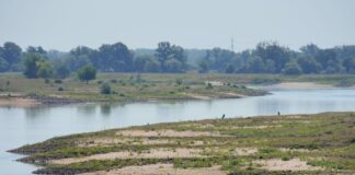 Zu wenig Wasser in der Elbe - Sandbänke kommen in Wittenberge zum Vorschein. 