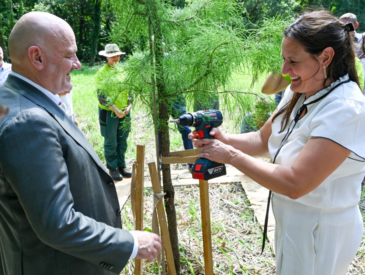Sommer-Pressefahrt durch die Lausitz Gemeinsam beim Baumpflanzen: Die beiden SPD-Politiker, Kulturministerin Manja Schüle und Infrastrukturminister Robert Crumbach, verstehen sich gut. (Archivbild)