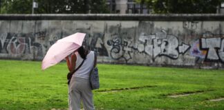 Weniger Regen, mehr Sonne und neue Hitzerekorde Die Sonne schien in Berlin und Brandenburg mehr als in den vergangenen Jahren. (Symbolfoto)