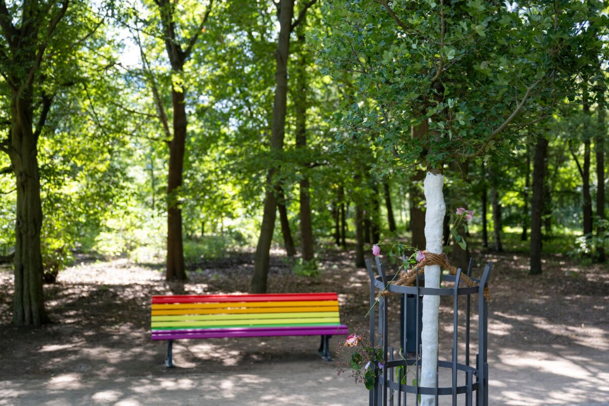 Nach dem Angriff auf CSD in Berlin Am Ort des Anschlags wächst nun ein neuer Baum. (Archivbild)