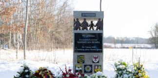 Tod eines Polizisten – mutmaßliche Drahtzieher gefasst Tod eines Polizisten - mutmaßliche Drahtzieher gefasst. (Archivbild)